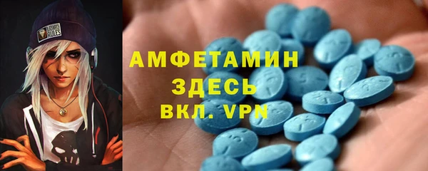 гидра Алексеевка