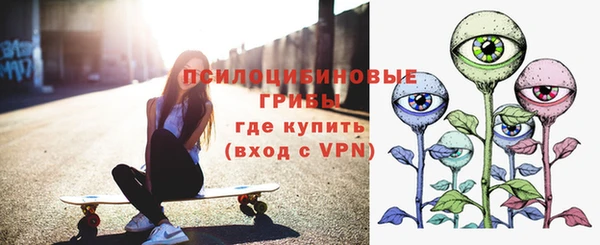 ПСИЛОЦИБИНОВЫЕ ГРИБЫ Покачи